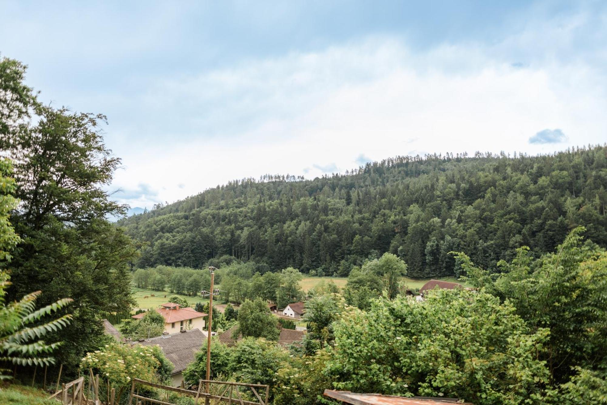 Fernblick Villa Klagenfurt am Woerthersee Eksteriør bilde